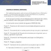 asamblea general mercadillo 2026